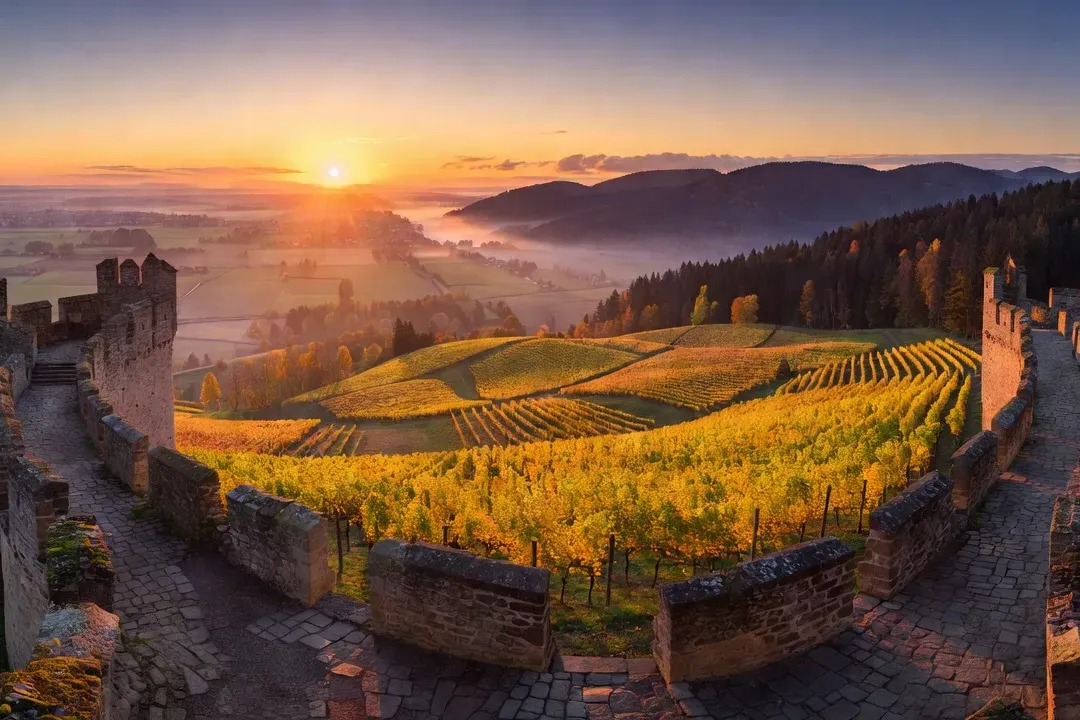 Vue panoramique sur les ruines d’un château alsacien depuis les crêtes vosgiennes